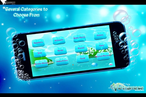 Vietnamese Bubble Bath Pro screenshot 3