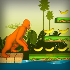 Activities of Monkey Run Simulator 2k17