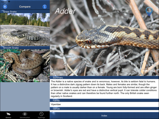 Screenshot #6 pour Reptile Id - UK Field Guide