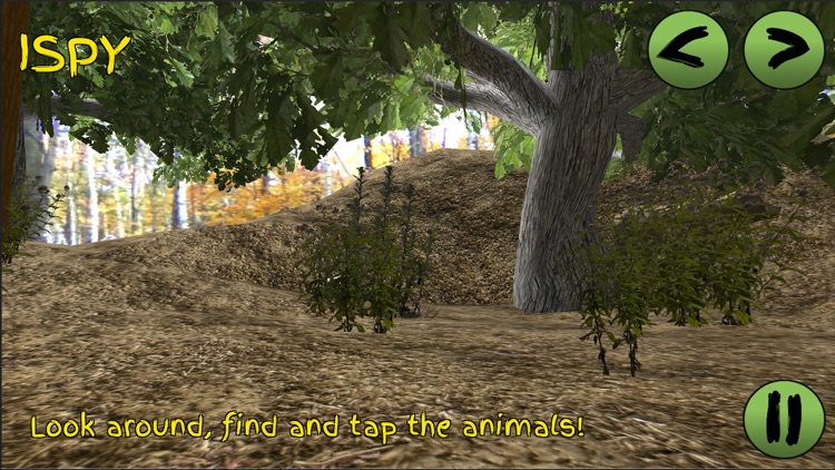 W5Go Forests screenshot-3