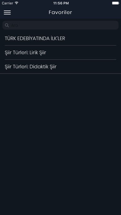 LYS Edebiyat Notları screenshot 4