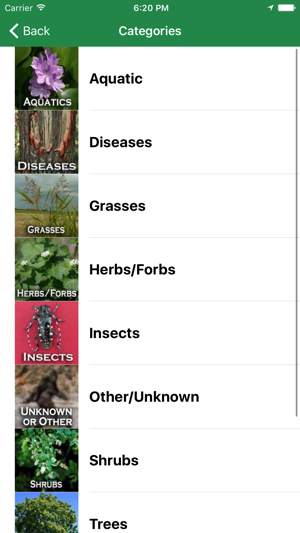 SE Early Detection Network(圖2)-速報App