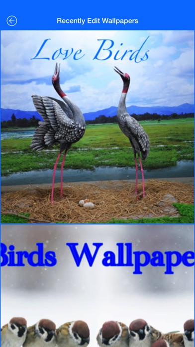 Birds Photo Wallpaper Pictures screenshot 3