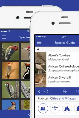 Game screenshot iKnow Birds LITE - USA apk