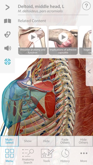 Muscle Premium Subscriptionのおすすめ画像2