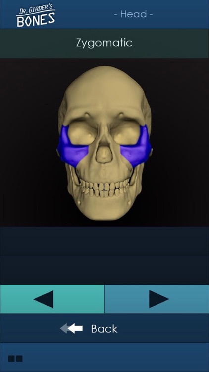 Dr Girder Bones screenshot-4