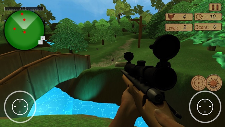 Classic Farm Chicken Shooting