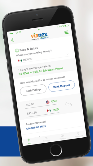 Vianex Money Transfer On The Vianex Money Transfer 4