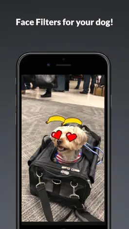 Game screenshot PupCam mod apk