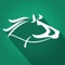 Horse Racing Pro (HPR) is the most exciting simulated horse racing experience on the App Store