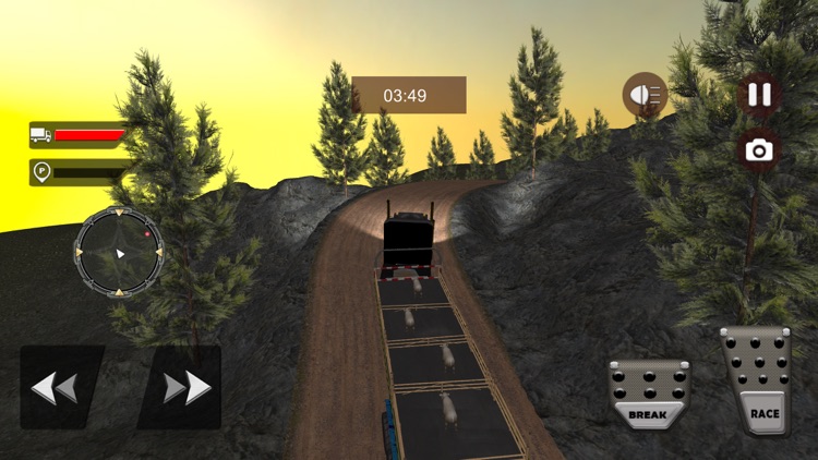 Animal Transporting Truck 2018