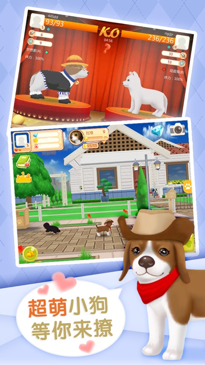 心动小狗：伙伴