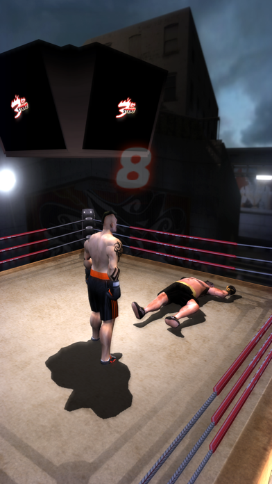 Iron Fist Boxing Lite screenshot1