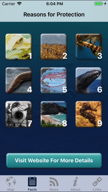 Conserving the Sargasso Sea