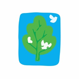 Parque D. Pedro Shopping