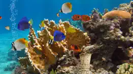 How to cancel & delete myreef 3d aquarium 2 lite 2