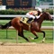 TRF Viewer is an iPad application for viewing thoroughbred past performances in the racing form format