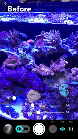 Game screenshot Aquarium Camera mod apk