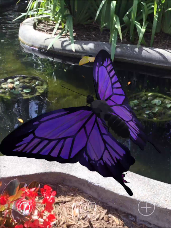 Screenshot #4 pour AR Butterflies