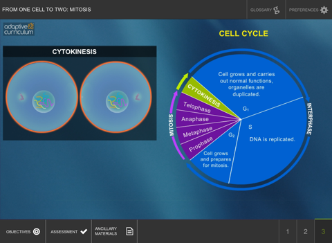 From One Cell to Two: Mitosis screenshot 4