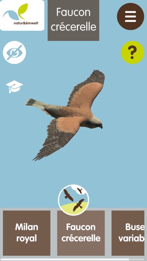 Rapaces au Luxembourg(圖7)-速報App