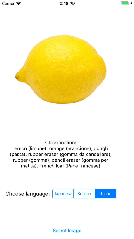 LemonVision