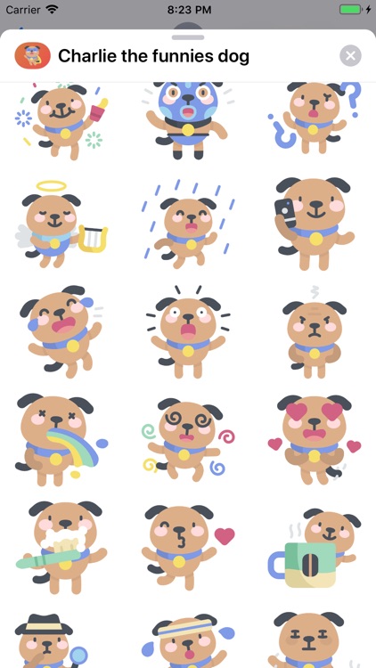 Charlie the funniest dog