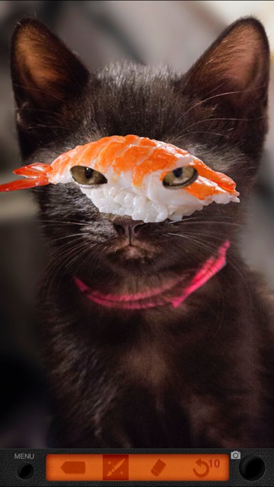 スシ ノ アナ -Face in Sushi-のおすすめ画像1