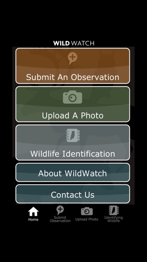 Wild Watch(圖1)-速報App