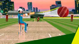 Game screenshot Super Cricket Championship mod apk