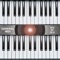 "midi keyboard" is the first MIDI EXPANDER for professional musicians or students