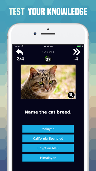 Cats Trivia - Cute Images Quiz screenshot 3