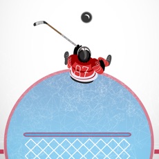 Activities of Hockey Goal Stopper