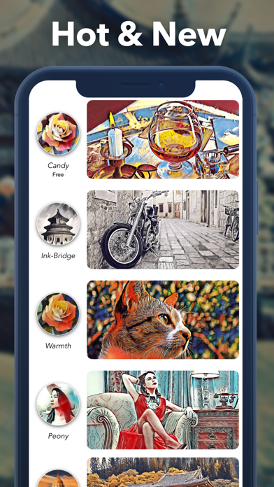 Juzi Ink Artistic Photo Editor iPhone screenshot 5 - Photo & Video app