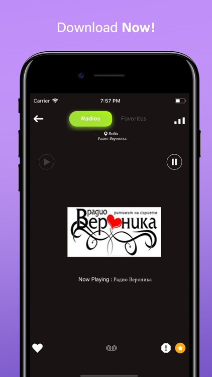 Radio Bulgaria FM AM screenshot-3