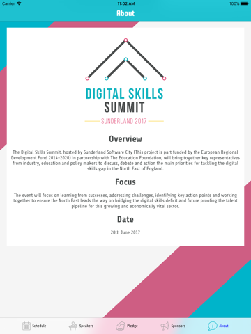 Digital Skills Summit screenshot 2