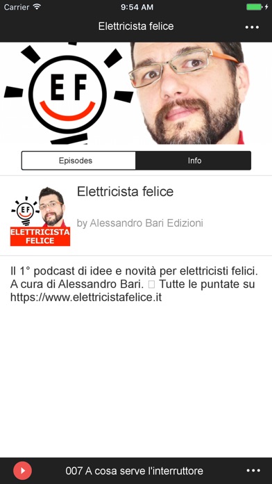 Elettricista felice screenshot 2