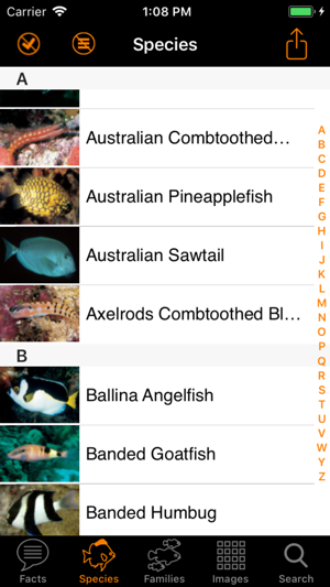 Marine Fish Great Barrier Reef(圖3)-速報App