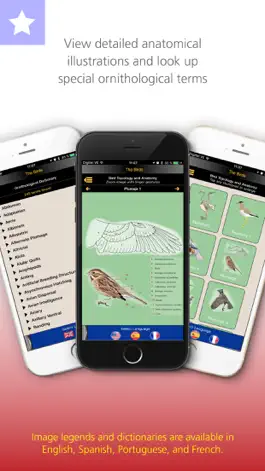 Game screenshot The Birds of Chile hack