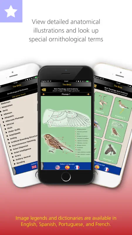 The Birds of Chile screenshot 3 of 6