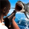 Angry Shark Hunting& Shooting