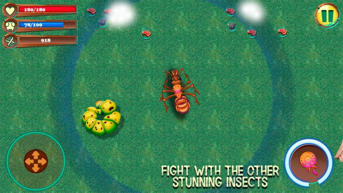 Ant City Colony Evolution