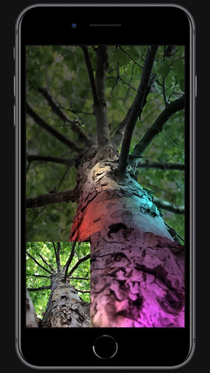 Apollo: Immersive illumination screenshot-8