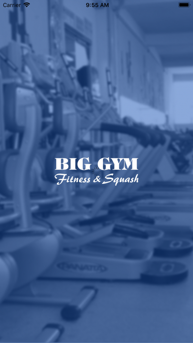 Screenshot #1 pour Big Gym