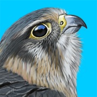 iBird UK Pro Guide to Birds logo