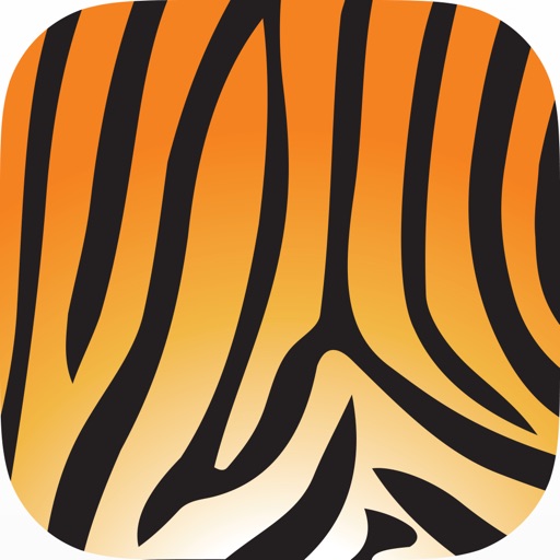 Asset Tiger Icon