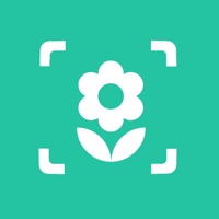 Contacter iplant - Plant identifier