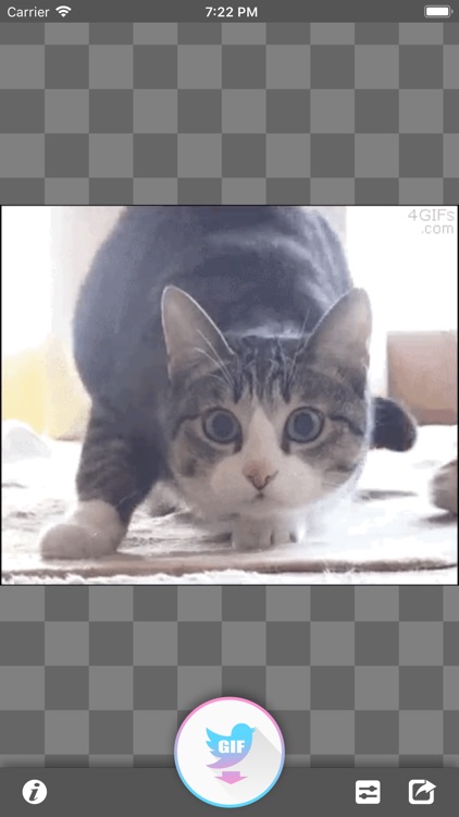 GIF Grabber for Twitter™