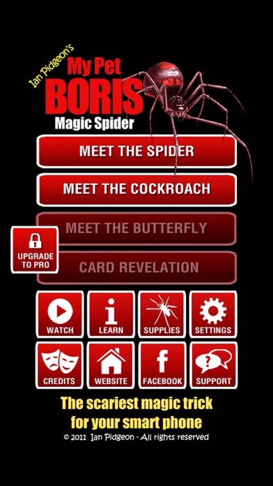 Screenshot #1 pour Magic Spider - My Pet Boris