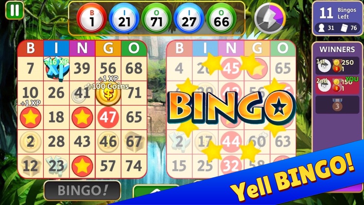 Five Star Bingo Five Star Bingo